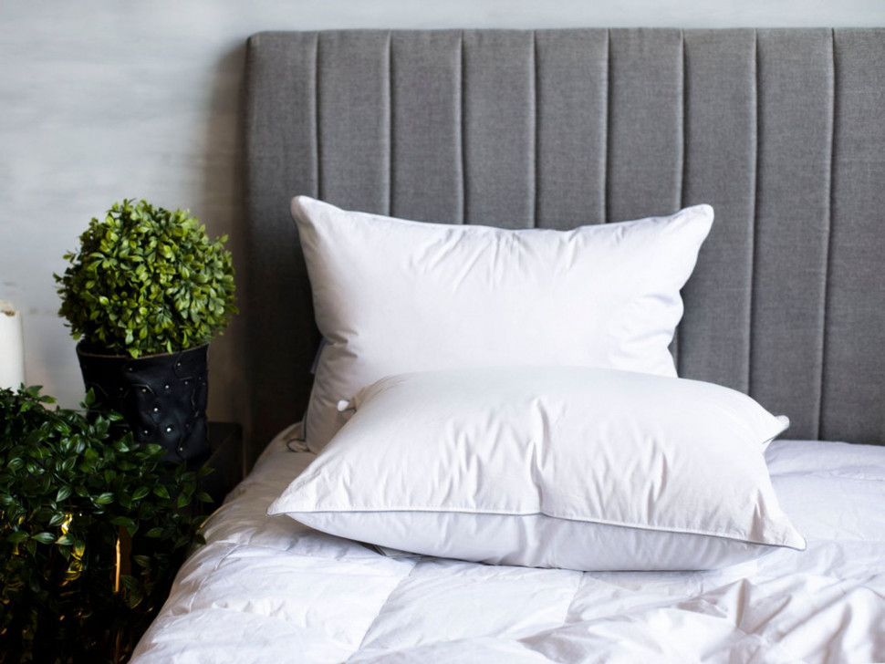 Подушка GRAY FAMILIE DOWN упругая 50x68