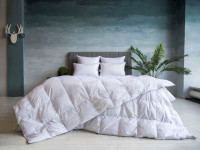 Одеяло GRAY FAMILIE DOWN всесезонное 240x220