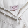 Одеяло ALLIANCE DOWN Light & TENCEL GRASS двойное 200х220