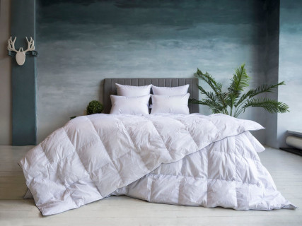 Одеяло GRAY FAMILIE DOWN всесезонное 140x205