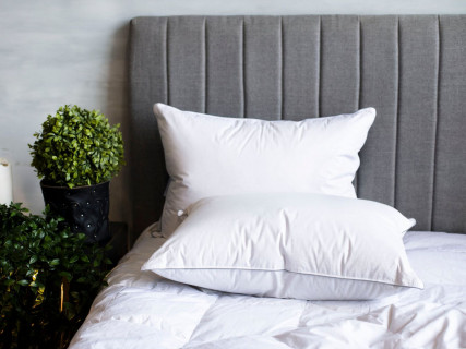 Подушка GRAY FAMILIE DOWN мягкая 50x68