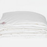 Одеяло ALLIANCE DOWN & TENCEL GRASS двойное 150x200