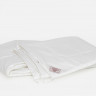 Одеяло ALLIANCE DOWN Light & TENCEL GRASS двойное 200x200