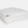 Одеяло ALLIANCE DOWN Light & TENCEL GRASS двойное 150x200