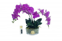 OVAL Orchid purpleБукет розовые орхидеи, 2 спрея по 10 мл