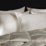 Одеяло из пуха гаги EXCLUSIVE SILK EIDER DOWN всесезонное 200x220