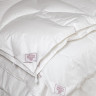 Одеяло ALLIANCE DOWN & DOWN Light GRASS двойное 150x200