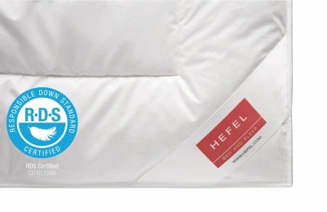 Одеяло пуховое летнее Hefel Silver  Down