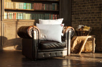 Подушка CAMEL WOOL GRASS регулируемая 68х68