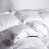 Одеяло из пуха гаги EXCLUSIVE COTTON EIDER DOWN всесезонное Light 240x220