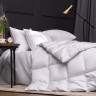 Одеяло из пуха гаги EXCLUSIVE COTTON EIDER DOWN всесезонное Light 240x220