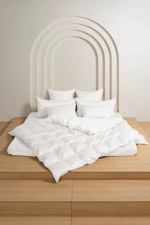 Простыня Arctic White Brilliant Grass 240х260