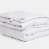 Одеяло из пуха гаги EXCLUSIVE COTTON EIDER DOWN теплое 260х240