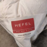Одеяло пуховое зимнее Hefel Pure Nature Silver Down WD