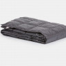Дорожный плед – одеяло пуховый Travel Plaid Grass Graphite 140х200