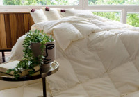 Одеяло ORGANIC DOWN GRASS всесезонное 260х240