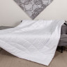 Одеяло BAMBOO GRASS легкое 240x220