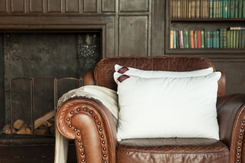 Подушка MEMORY TENCEL GRASS упругая 50x68