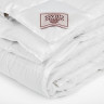 Одеяло SILVER DOWN GRASS всесезонное Light 200x220