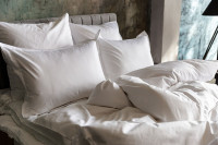 Наволочки WHITE NOBLE TRADITIONS GRASS 50х70 (2шт)