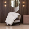 Одеяло SILVER DOWN GRASS всесезонное 240x220