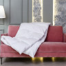 Одеяло WHITE FAMILIE DOWN всесезонное с бортиком 155х200