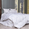 Одеяло WHITE FAMILIE DOWN всесезонное с бортиком 240x220