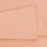 Простыня Apricot Palette Grass 240х260