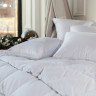 Подушка WHITE FAMILIE DOWN средняя с бортиком 50х90