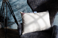 Подушка QUEEN DOWN GRASS средняя c бортиком 50х90