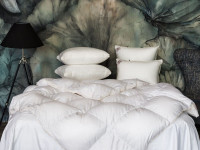 Одеяло QUEEN DOWN GRASS всесезонное с бортиком 240x220